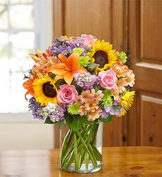 Garden of Grandeur Davenport Florist - Same Day Flower Delivery - Flower Power 